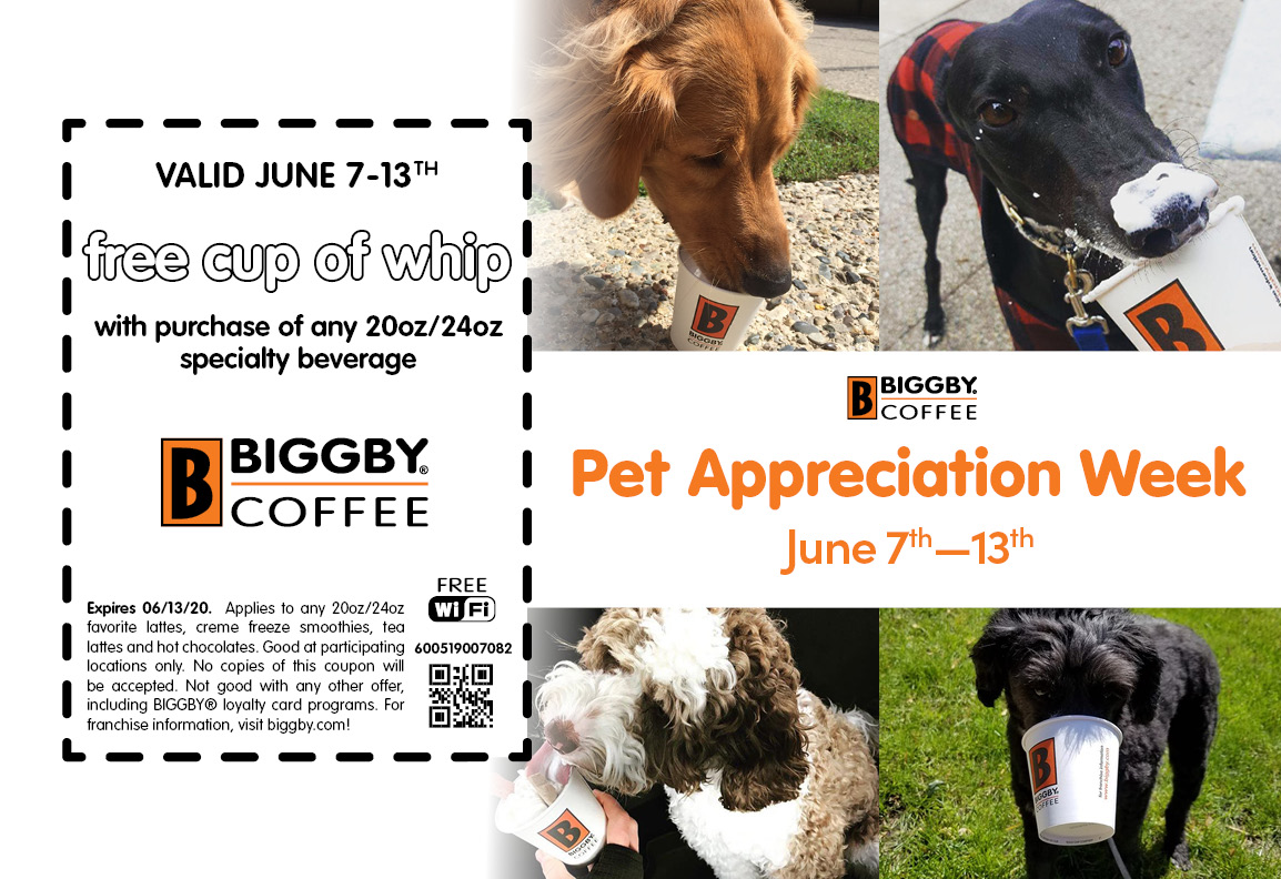 BIGGBY E-Ward