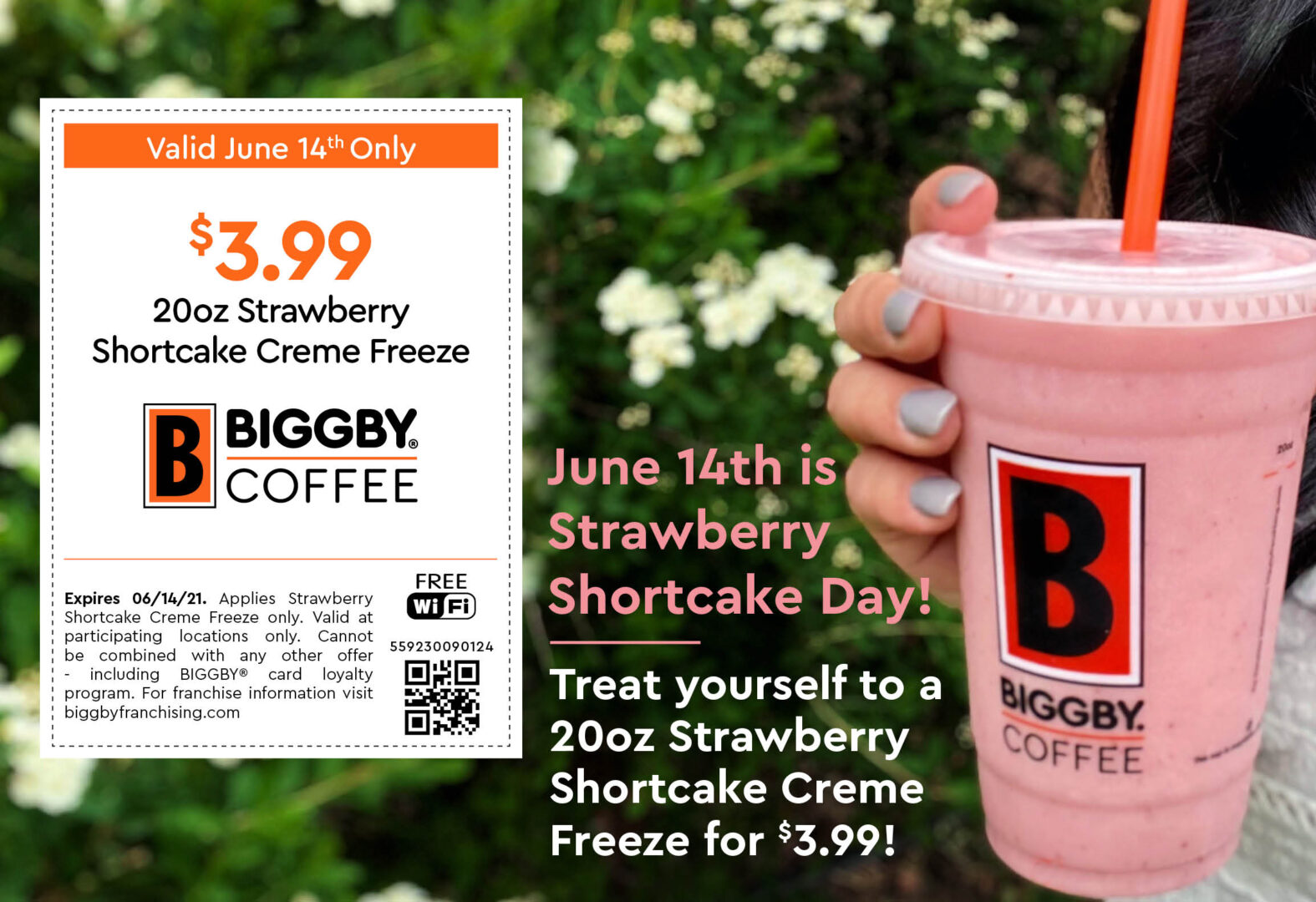 BIGGBY E-Ward
